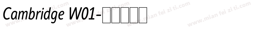 Cambridge W01字体转换